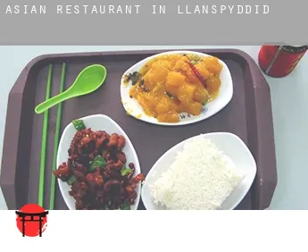 Asian restaurant in  Llanspyddid