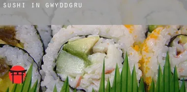 Sushi in  Gwyddgrug